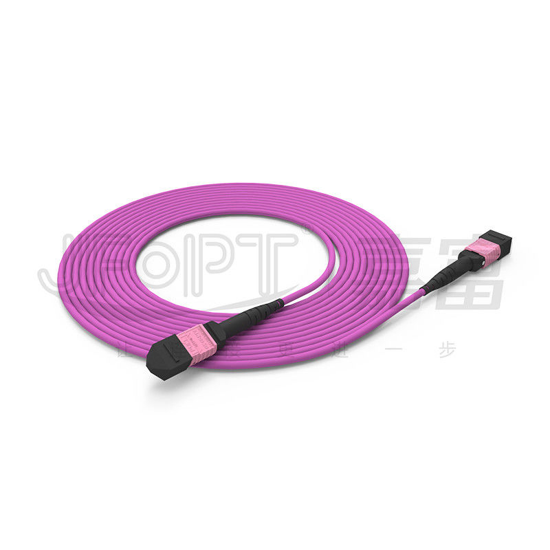 corazones OM4 con varios modos de funcionamiento 50/125 LSZH 3.0-4.0m m Heather Violet Jumper del cordón de remiendo de 100G MTP 24