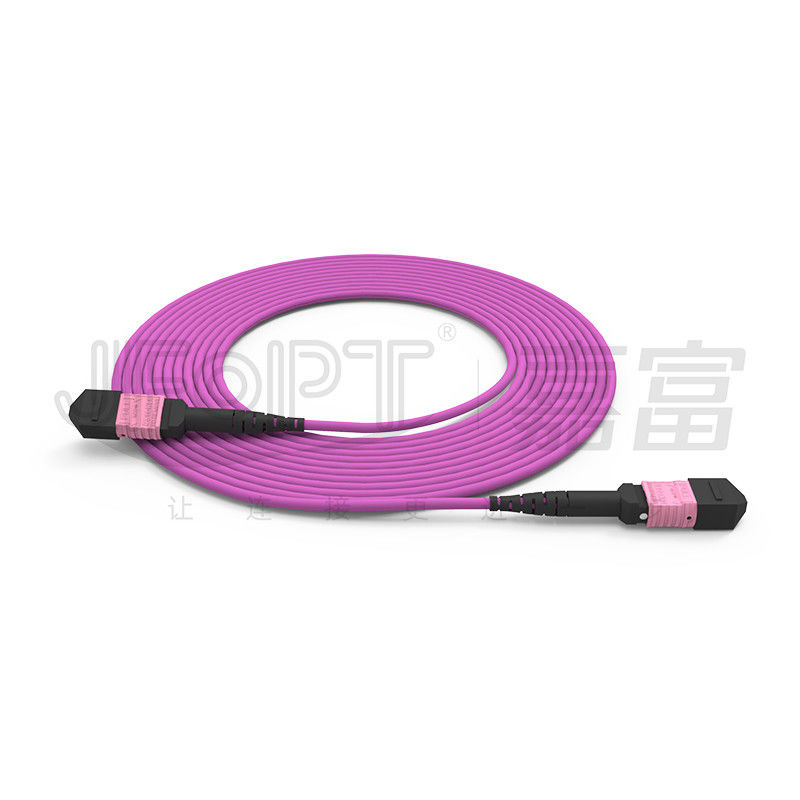corazones OM4 con varios modos de funcionamiento 50/125 LSZH 3.0-4.0m m Heather Violet Jumper del cordón de remiendo de 100G MTP 24