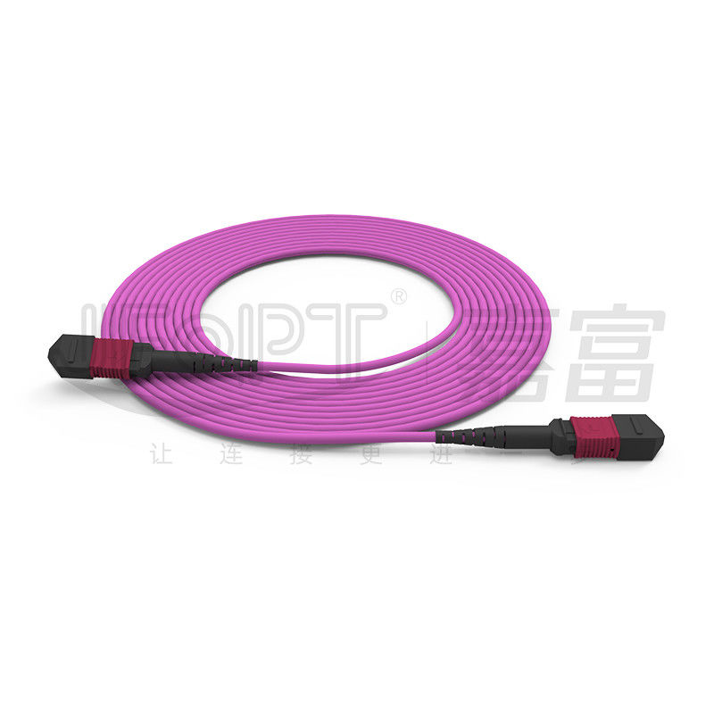 El solo tronco del tubo de MPO-MPO telegrafía 12 corazones 2.0m m OM3 OM4 Violet Fiber Cable