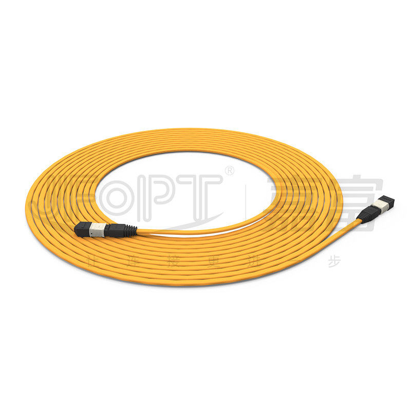 El cable del tronco retardante de llama multimodo de 12 núcleos 50/125 OFNR/OFNP