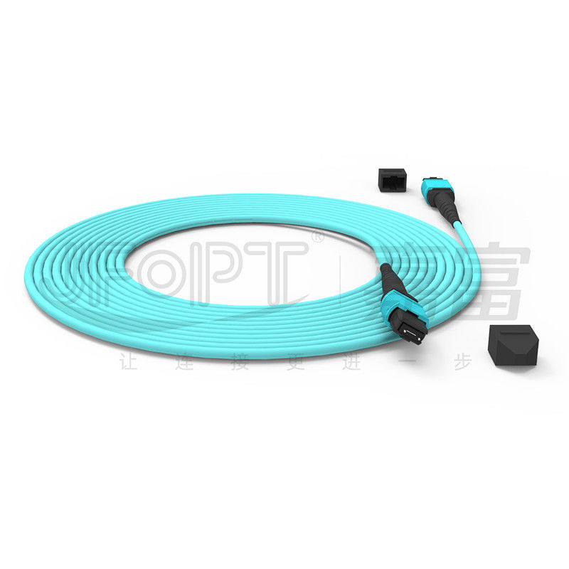 12 núcleos Velocidad MPO Cordón de parche de agua de color para conexión de centro de datos 10G Multi-modo OM3 Cordón de parche de fibra óptica